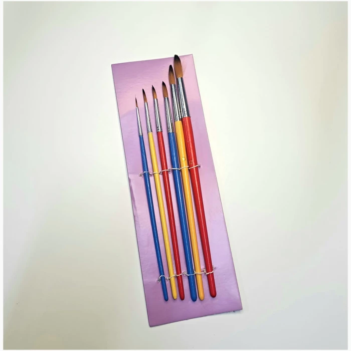 6 Pcs Pony Hair Brush - Image 1