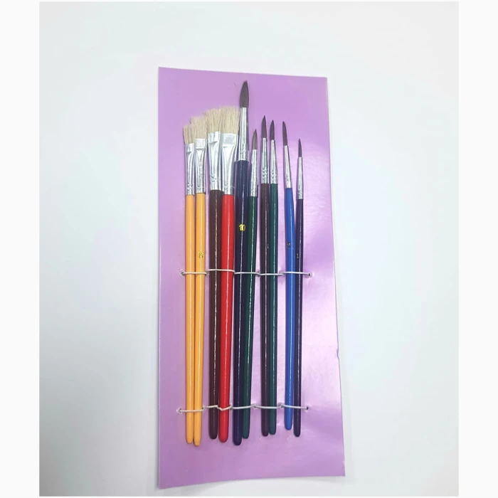 10 Pcs Pony Hair Brush - Image 1