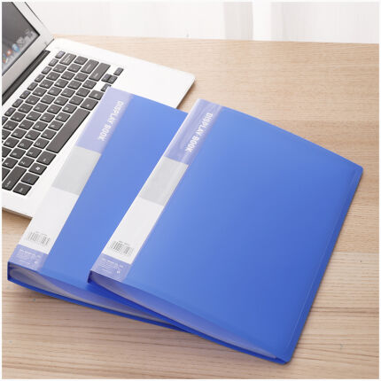 Transparent Pockets File 80 Pockets