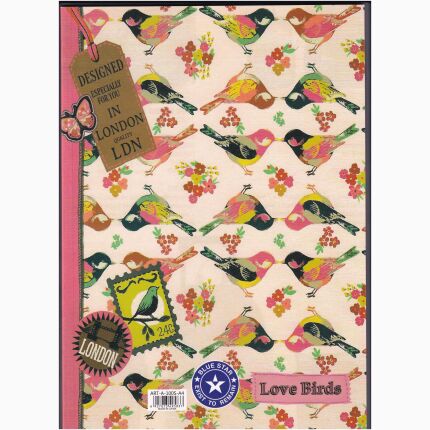 Note Book Blue Star 100 Sh A4