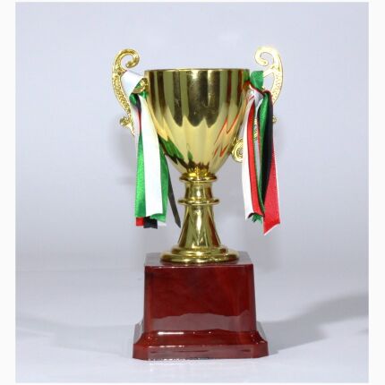 Trophy Size 21.5 Cm