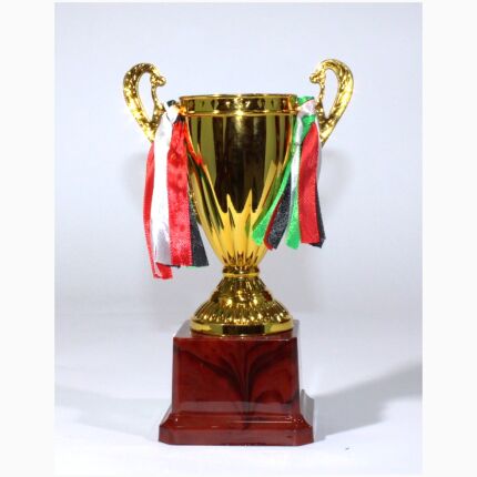 Trophy Size 27.5 Cm