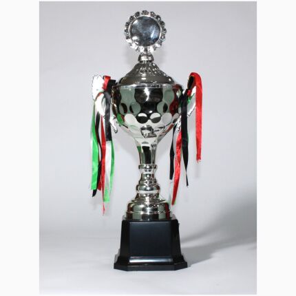 Trophy Size 42 Cm