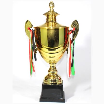 Trophy Size 52Cm