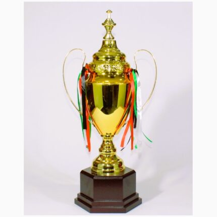 Trophy 55 Cm